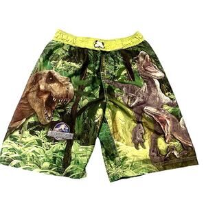 Jurassic World Boys Swimsuit Dinosaur Swim Trunks Size M (8)